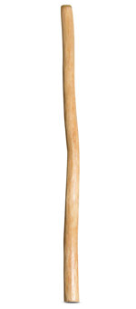 Medium Size Natural Finish Didgeridoo (TW628)